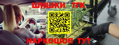 молекула духа Краснознаменск