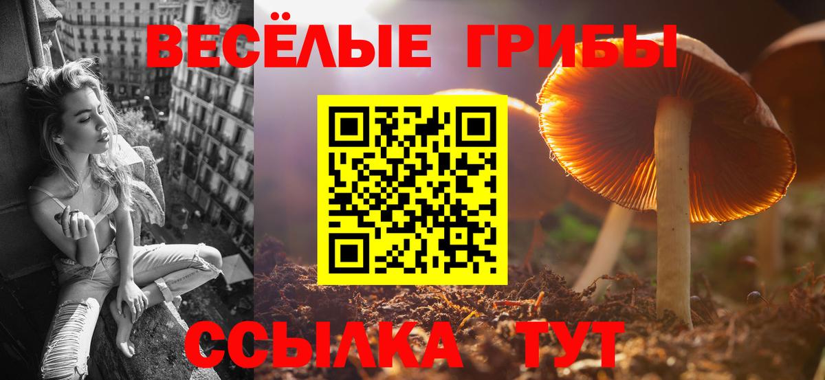 Псилоцибиновые грибы прущие грибы Химки